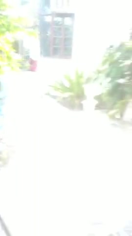 Instagram 🆔 Author Shakti Tiwari
#authorshaktitiwari #author_shakti_tiwari 
#shorts #short #shortvideo #shortsvideo #sh