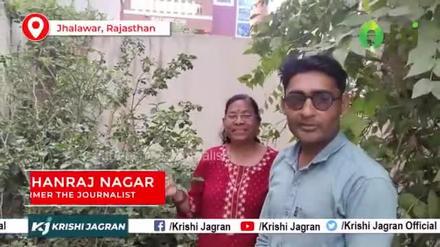 तीखा और स्वादिष्ट है मिर्ची का ये किस्म, दार्जिलिंग से मंगवाया था बीज 

#chillifarming #agriculture #chilli #farmers
