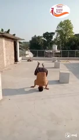comedy shorts videos #music #bihar
#india_news #shivranimusic.com