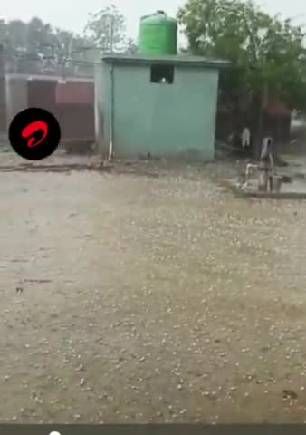 प्रयागराज मे कुदरत का कहर जारी,पचदेवरा के पास जोरदार बारिश के साथ ओले पड़े।

#prayagrajcity #prayagrajnews #प्रयागरा