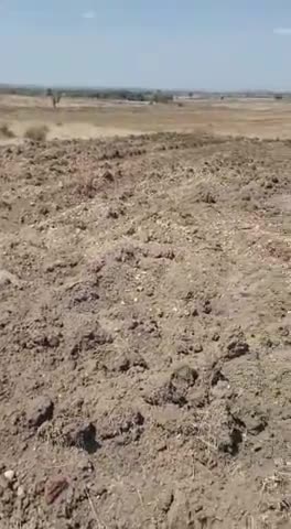कोलारस: ##kolaras kumraua colony##kali mata ke mandir par kabzaa##