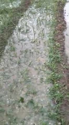 चंदला: gram madaupur kachinpur@#परिणीति_राघव