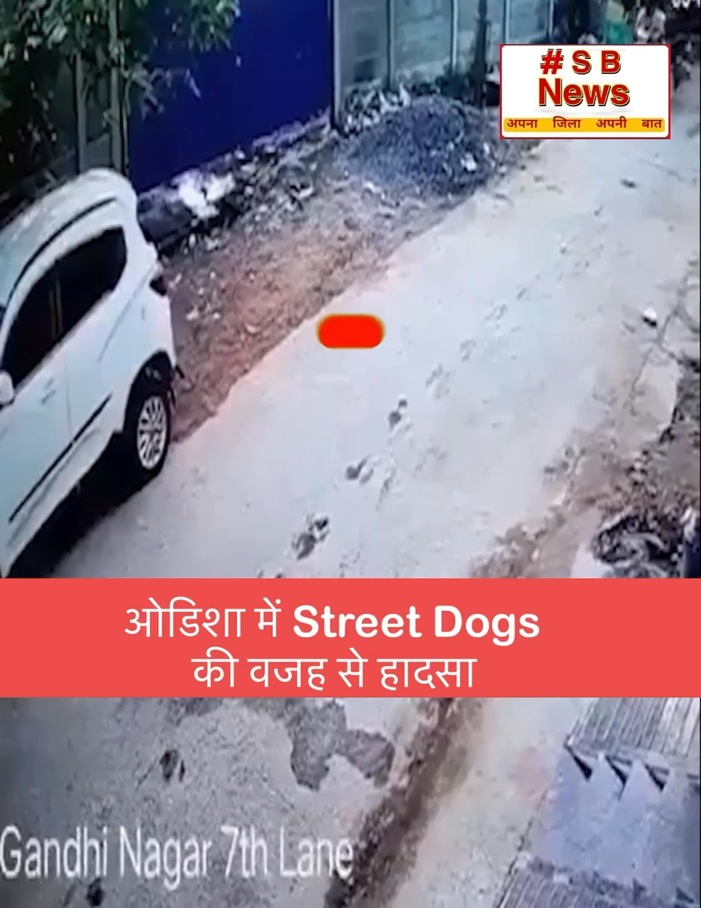 ओडिशा में Street Dogs की वजह से हादसा, #viral #news #sbnewsfbd #fact #news #trending #reels #india