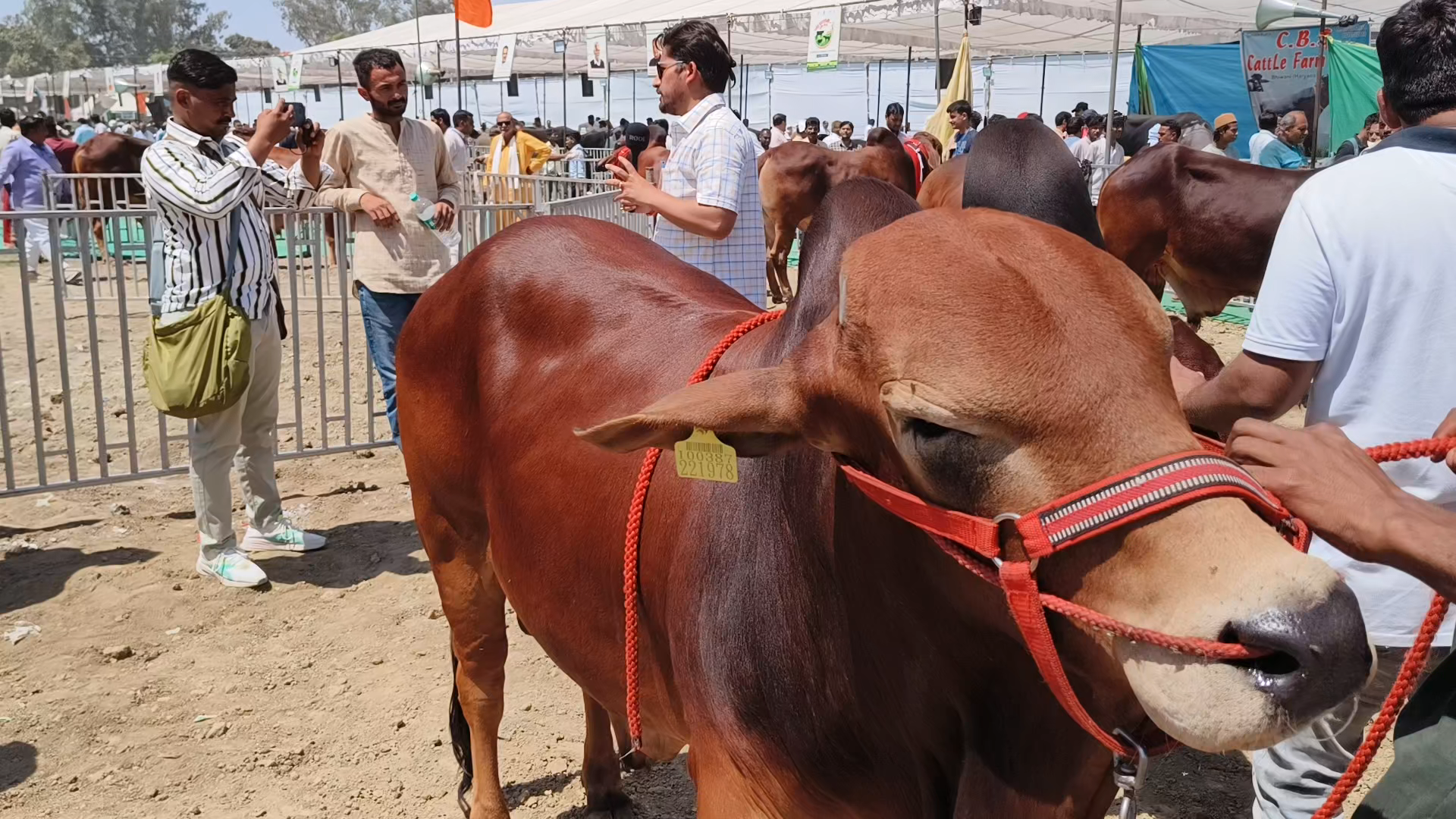 #मुजफ्फरनगर में हिंदुस्तान का सबसे बड़ा कृषि और पशु मेला#राज्यमंत्री डॉ संजीव बालियान के प्रयासों के बाद लगा मेला#👌💯
#