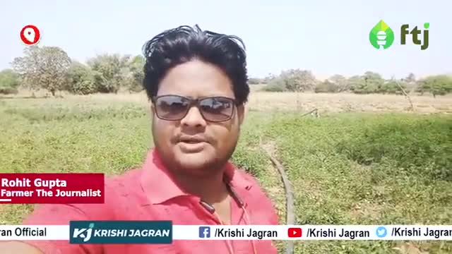 हल्की मिट्टी में भी कर सकते है टमाटर की खेती 

#tomatofarming #agriculture #farmers