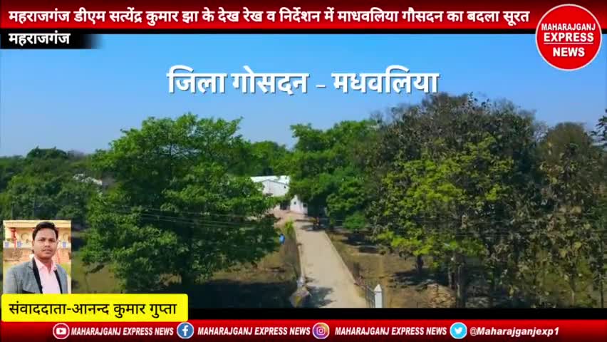 #महराजगंज #मधवलिया #गौसदन 
महराजगंज डीएम सत्येंद्र कुमार के देख रेख व निर्देशन में माधवलिया गौसदन का बदला सूरते हाल देखे विडियो