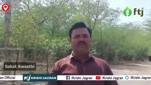 घने जंगलों की लकड़ियों का उपयोग कर, लिया जा सकता है खाली जगह का लाभ 
#agriculture #farmers #farming #forest #farmers