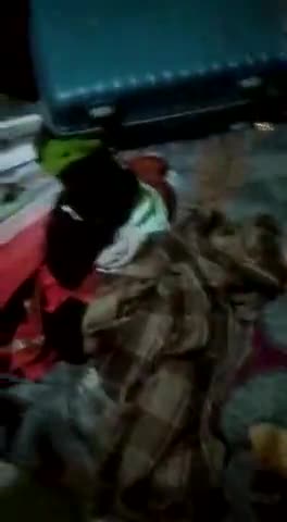 खेरागढ़: रिटायर्ड अध्यापक और दूधिया के घर में चोरी चोरों का अभी कोई पता नहीं#news #news_express #newsalerts