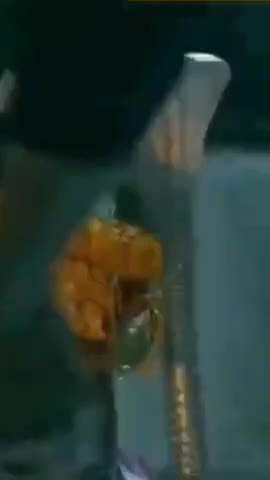 सनातन की पीडा का सच ! सच का सफर #hindu #modi #yogi #banaras #viral