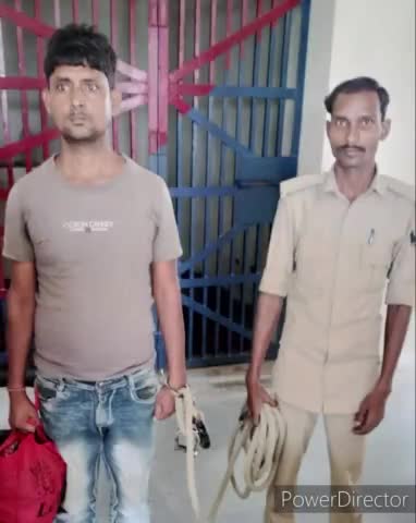 घोघरडीहा: घोघरडीहा थाना पुलिस गश्ती दल ने करिहर गांव से शराब बनाने और बेचने के जुर्म में एक को किया गिरफ्तार, भेजा जेल