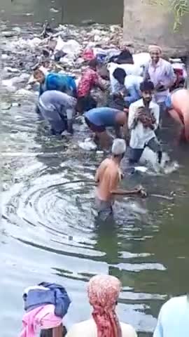 रोहतास जिले के #सासाराम_प्रखंड के #मुरादाबाद #नहर की है जहां नहर #नोटो_की_गड्डियां_उगल रही है जिसमें 500,200,100,10₹ है।