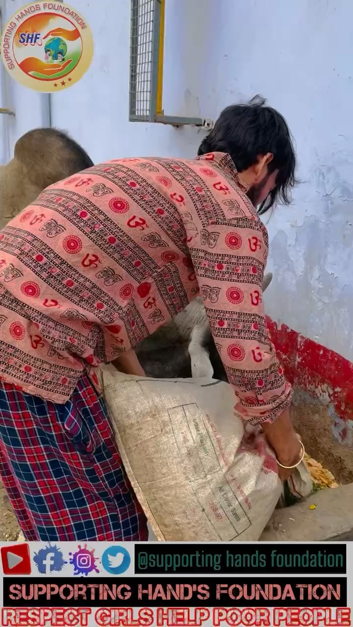 में अपना कर्म कर रहा हु 🤗🐄
Respect Girls help poor people 
#supportinghandsfoundation #apsgurjar 
#gaumata #hindu #cowhugday