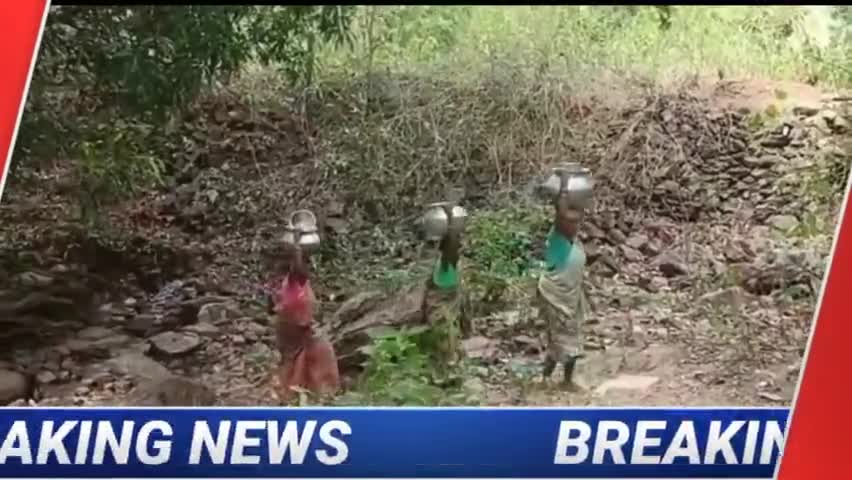 Drinking water Crisis: Jamtara में पियजल का विकराल |दूषित पानी पीने पर मजबूर |जलमीनार पड़े हैं बेकार
#drinkingwater