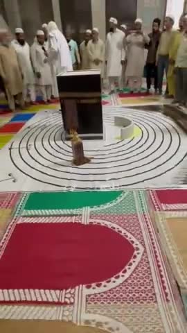 हज के बारे में किया बोल रहे हैं ये मौलाना
#hajj #muslim #islam #saudiarabia #delhinews #shamsulqamar #harkhabaraaptak