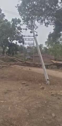 कटोरिया: बुधवार की रात को तेज़ तूफान के कारण सड़क किनारे सूखा पेड़ बिजली की तार पर गिरने से पोल टूटी।बिजली बाधित,#k