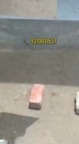 #मुजफ्फरनगर में #सबसे #सस्ती #टाइल्स के लिए #संपर्क करें  9310011537