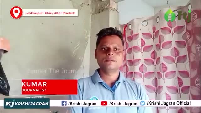 जाने किस तरीके से केले में लगने वाले कीटों का बचाव किया जाता है 
#agriculturelife #agricultue #farmers #farming