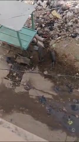 बिहार: smart siti बिहार शरीफ ramchandrapur #video_virl #suyar masti #varanasidevelopment #videocomedy #vary #reet_50000_जननायक_