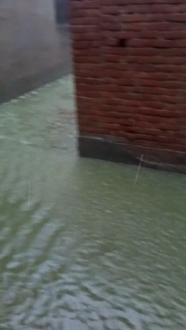भोगांव: bewar ke ward no. 5 ki stithi gambhir#bewar
#groundreport