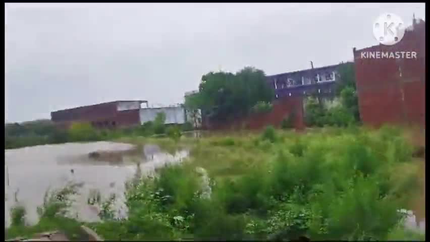 छिबरामऊ: लगातार हो रही बारिश से जल मग्न हुए गली मोहल्ले घरों में घुसा पानी #pani #varish #mausam