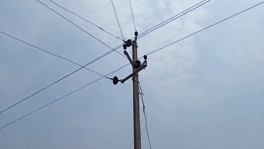Narayanpur News Current लगने से गाय का बच्चा की मौत| 11k power Bijli pool में करंट 

#narayanpurnews