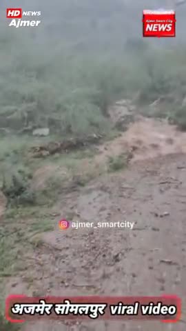 Ajmer somalpur Vira Video #ajmer #news #ajmernews