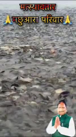मत्स्यावतार मछुआरा परिवार।

#Fish #fishing