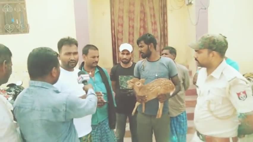 lauriya विधानसभा Mukesh Yadav RJD Bettiah District President Youth RJD