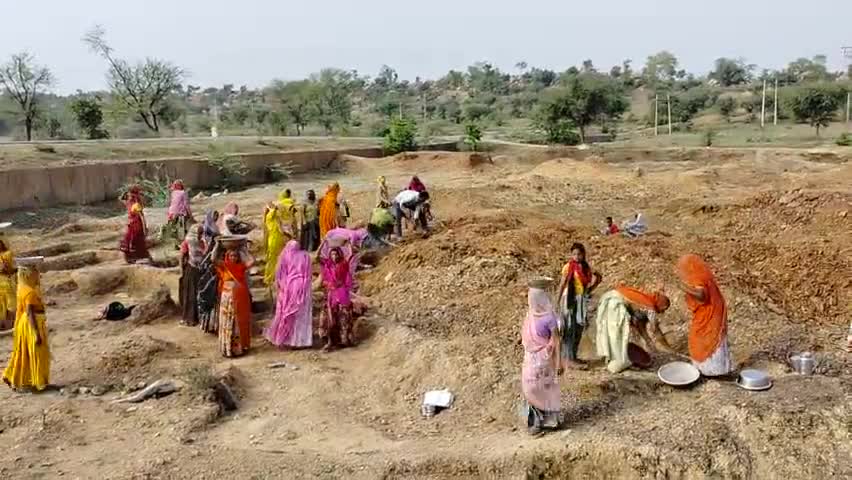 चित्तौड़गढ़: चित्तौड़गढ़ ग्राम पंचायत देवरी गांव पारलिया चल रहा नरेगा कार्य में तन मन  काम करती मजदूर #सहवाग #news