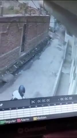 बाजार समिति रोड में हुआ चैन स्केचिंग /महिला टहलने गई  थी छीन लिया मोटरसाइकिल चालक चोर ने महिला का चयन बढ़ा रहा है बक्सर जिला में चोरों की सक्रियता प्रशासन करें तुरंत करवाई/