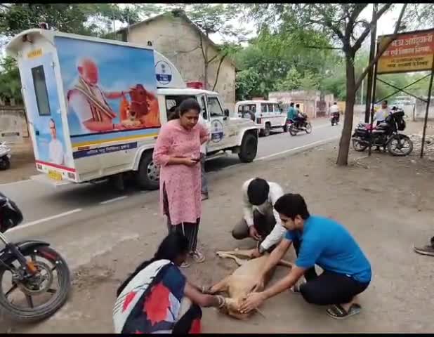 चलित पशु चिकित्सा इकाई ने पहुंचकर किया लाली का सफल उपचार 
बड़वानी शहर में चलित पशु चिकित्सा इकाई के डाक्टर ने मंगलवार को दोपहर 2 बजे लाली नाम की कुत्ती का ईलाज कर उसकी जान को बचाया है। 
#jansamparkmp