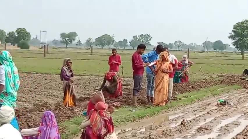 ग्राम पंचायत गारू kathumar अलवर
नरेगा मे फर्जी हाजरी ले रहे है रजिस्ट्रार पर 
ऐसा कब तक चलेगा राजस्थान सरकार मे