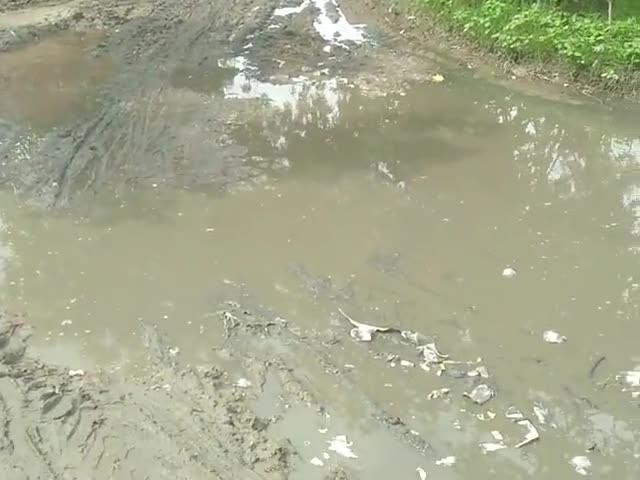 पटियाली: #जल भराव एवं कीचड़ युक्त रास्ता से लोगों को हो रही है समस्या लोग गिर रहे हैं कीचड़ में@@