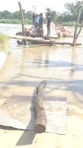 मुजफ्फरपुर के कटरा प्रखंड के 16. पंचायत को जोरती बागमती नदी के पीपा पुल  के जलस्तर बढ़ने पर आने जाने वाले की  कठिनाई है
