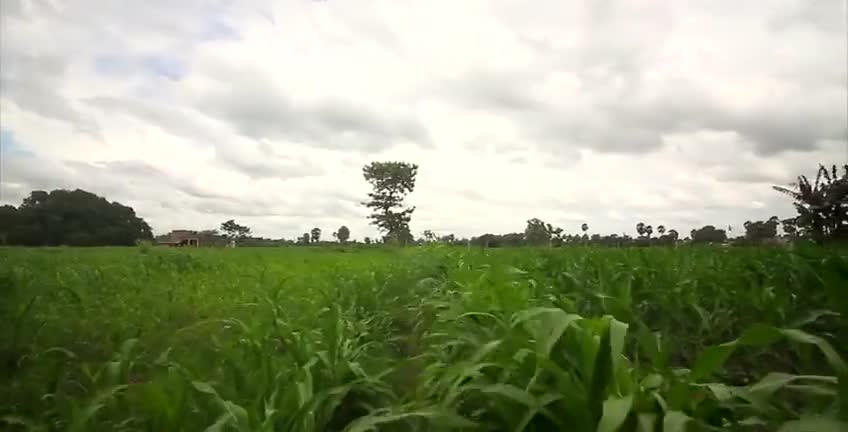 बृजपात से सावधान खुद सुरक्षित रहे औरों को सुरक्षित रखे 
#बिहार #औरंगाबाद