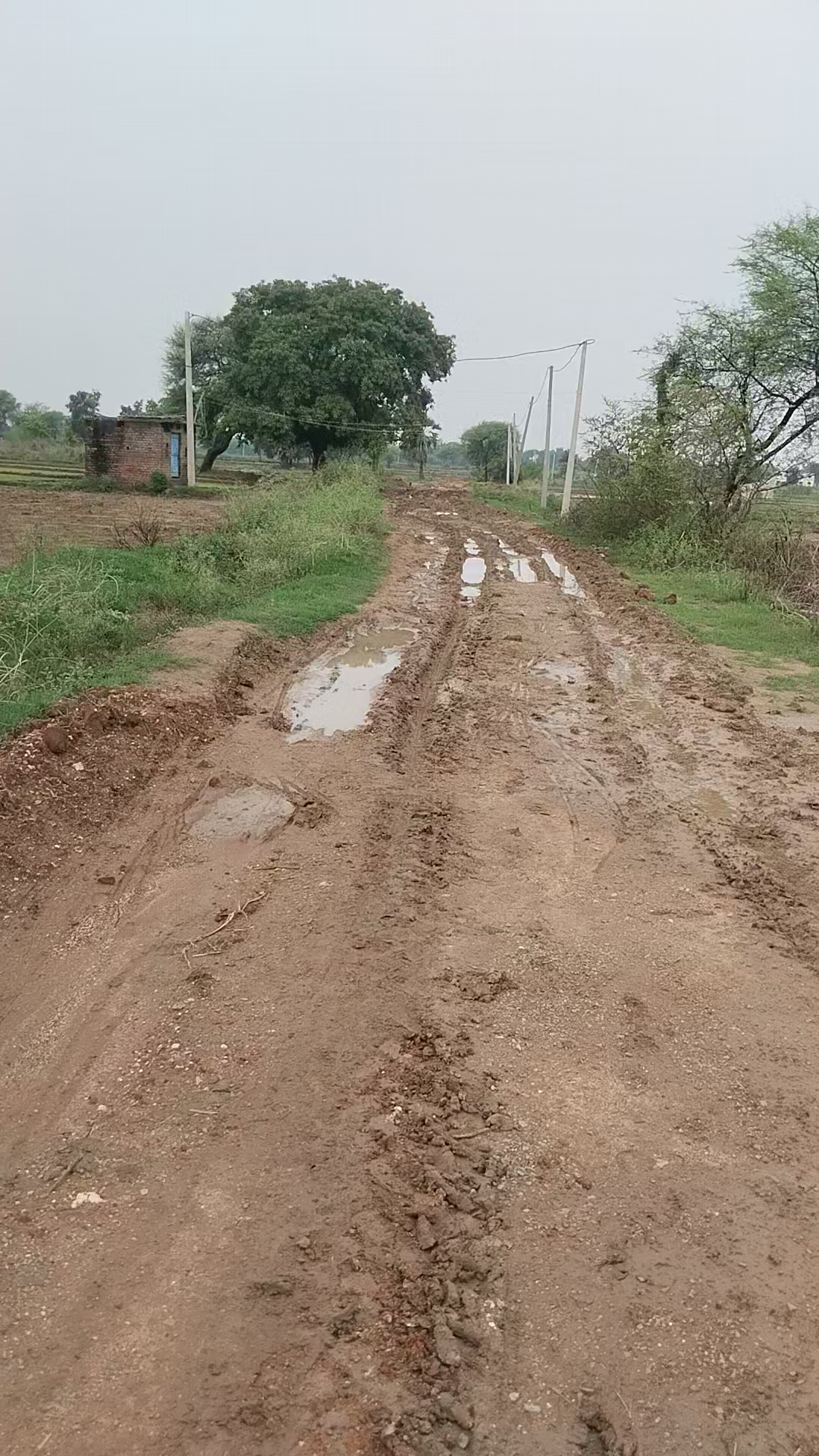हुसैनाबाद: #Hussainabad ke #Deory खुर्द #bankat गांव में के मुख्य सड़क की स्थिति पूरी तरह से खराब है
#jharkhandgovernment