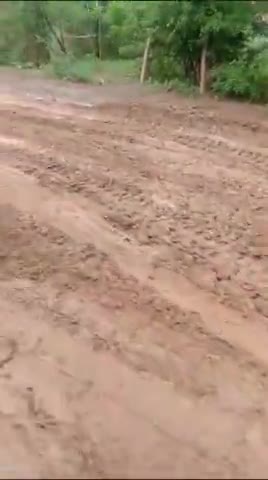 कटनी नगर: बारिश से दल दल बना पिपरौन्ध पहाड़ी मार्ग
#jarwahi
