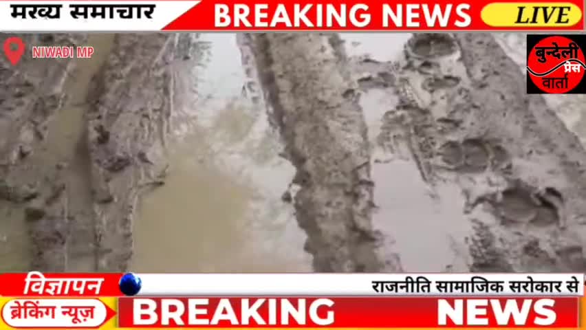 निवाड़ी: गुआवली विकास से कोसो दूर संबंधित अधकरी नही दे रहे ध्यान।आखिर सरकार कब लेगा गुआवली की सुध।#निवाड़ी
#niwadinews