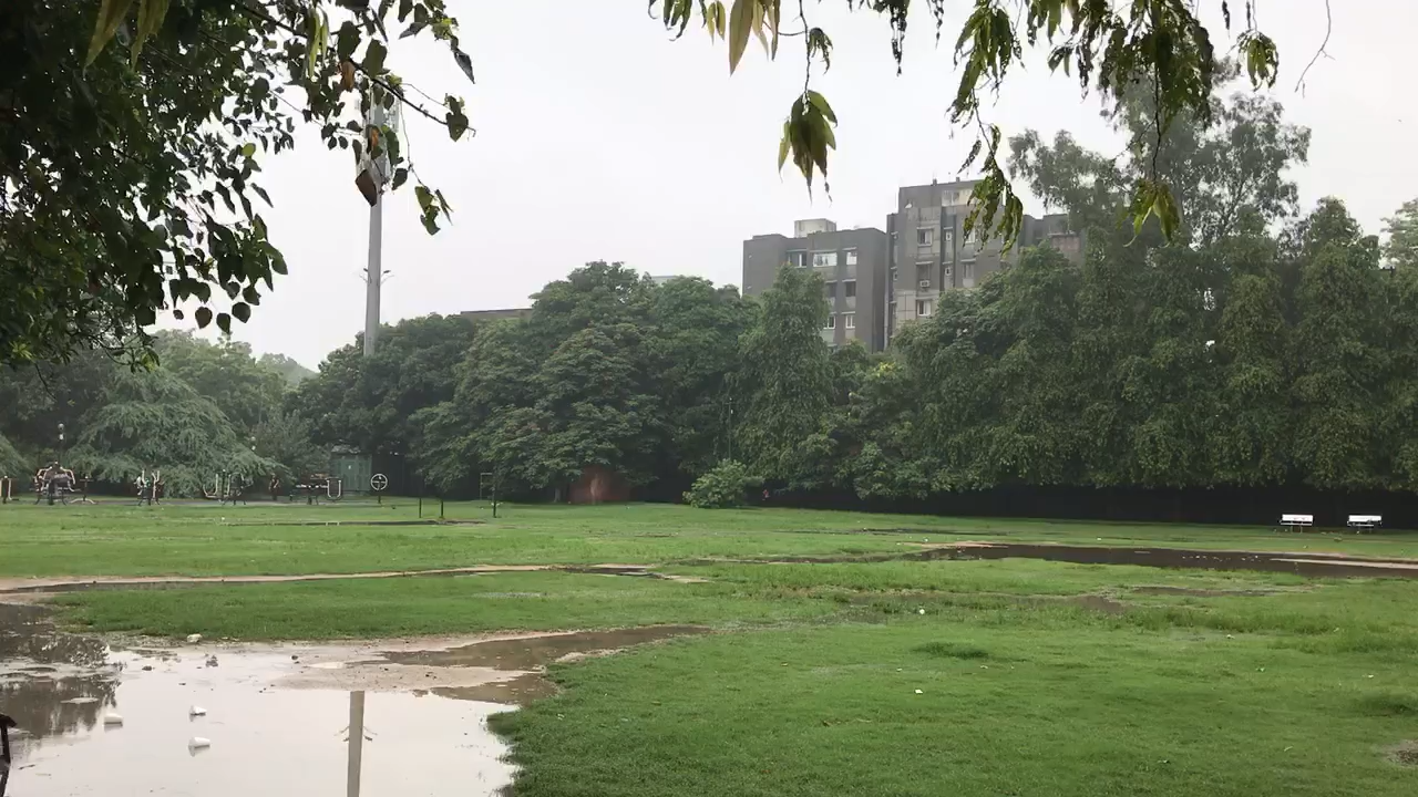 #Weekend_Morning #rain #delhi #Sunday ⛈☔️