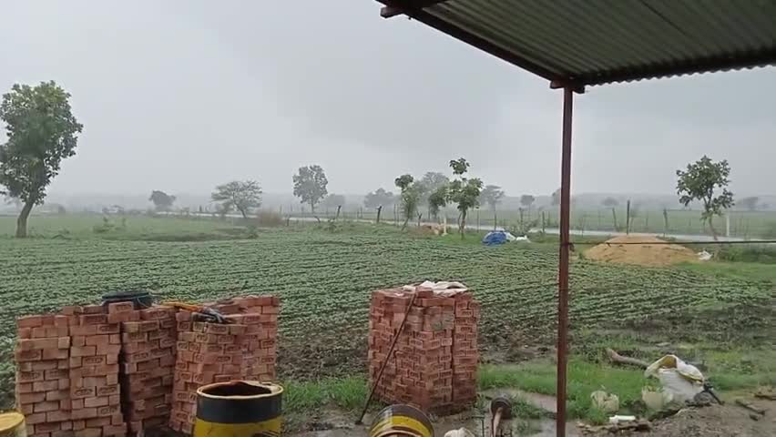 आगर जिले के ग्राम सेमली में रिमझिम रिमझिम बारिश
#बारिश #आगर #बरसात