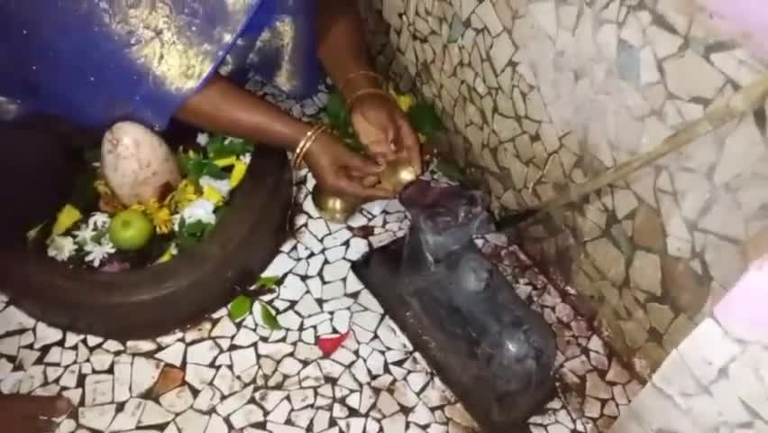 नंदी महाराज जी पी रहे दूध व पानी । भक्तों ने उत्साह के साथ पिलाया दूध व पानी। #सावन #उरगांव