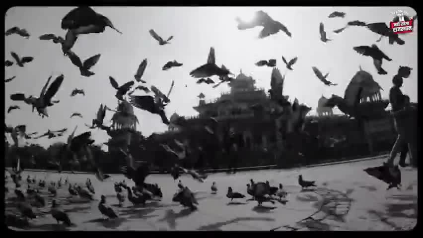 चरम पे है अपमान, नहीं सहेगा राजस्थान।

#NahiSahegaRajasthan