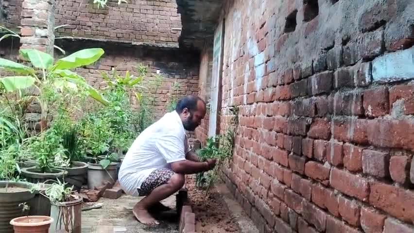 हुई महंगी बहुत ही #टमाटर कि खुद से ही लगाया करें