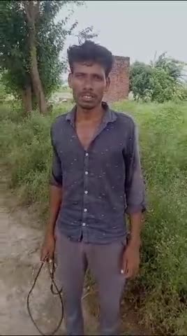 #Badaun उसावां थाना #क्षेत्र में खेत मे लगे #करंट से #भैंस की #मौत, पीड़ित ने #थाने में दी #तहरीर