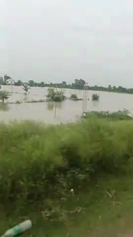 खैर: #yamuna baad Charon taraf pani Pani #kailash Chaudhary