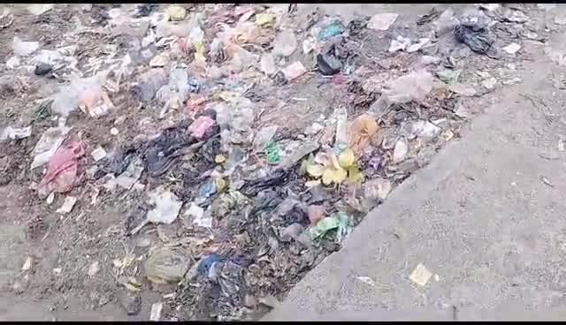 खतौली के मोहल्ला सराफत कॉलोनी वार्ड 20 के गलियों में सफाई कर्मचारी न आने से हुई गंदगी से मोहल्ले वासी हुऐ परेशान