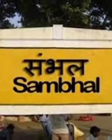 तोता मैना की कब्र संभाल #तोता #मैना #संभल
