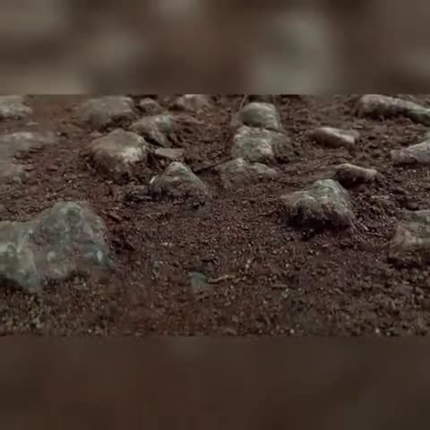 रांची जिला अंतर्गत मांडर ग्रामीण के टांगर बसली पंचायत के परयागो गांव का रोड का हाल देखिए रिपोर्ट
