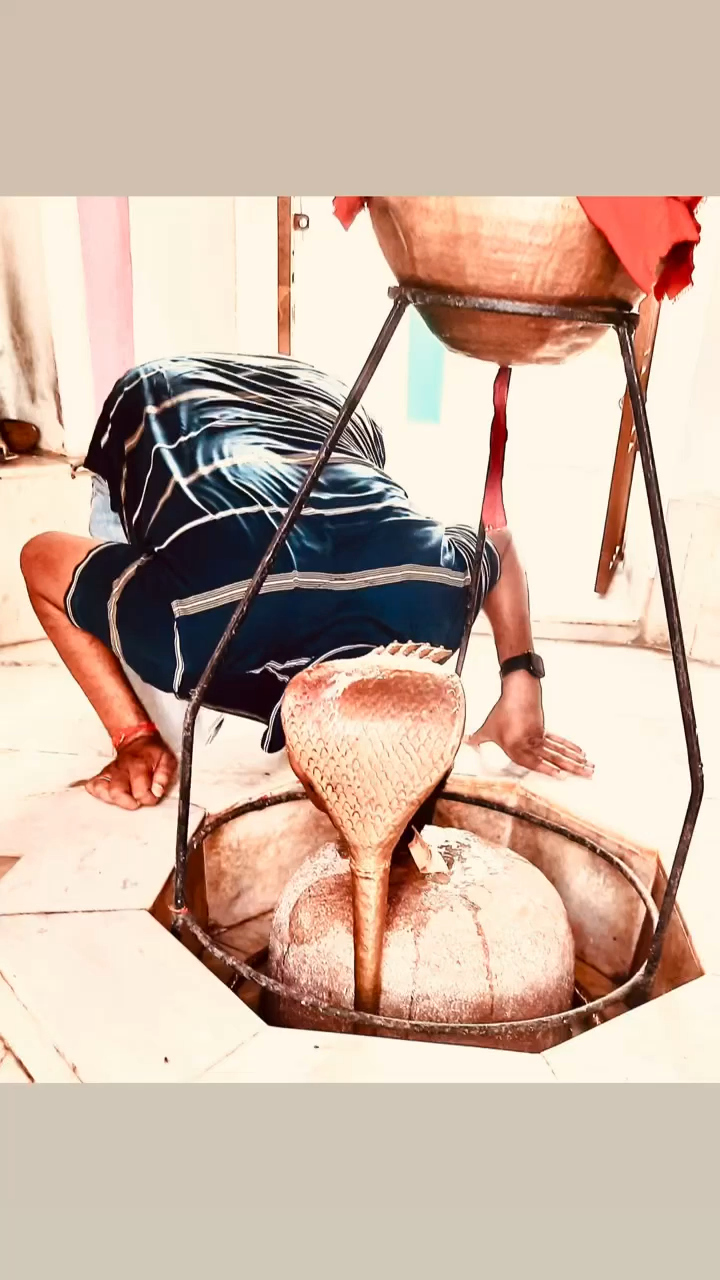 मलमास के बाबा भोलेनाथ महाराज जी की कृपा सभी भक्तों पर बनी रहे।
#हरहरमहादेव 
#ओमनमशिवाय 
#मलमास