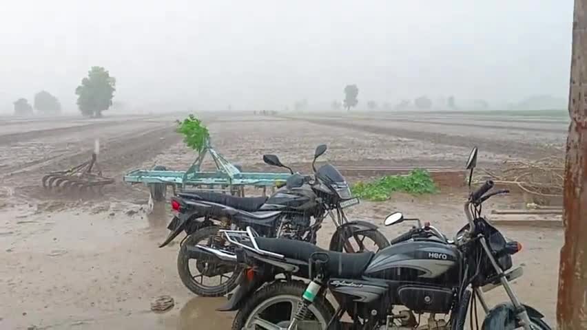 #suratgarh#36stg#रामपुरा#पीलीबंगा
रामपुरा(36 stg) तेज बारिश 🌧️🌧️🌧️
21/07/2023 शाम 4:10 PM